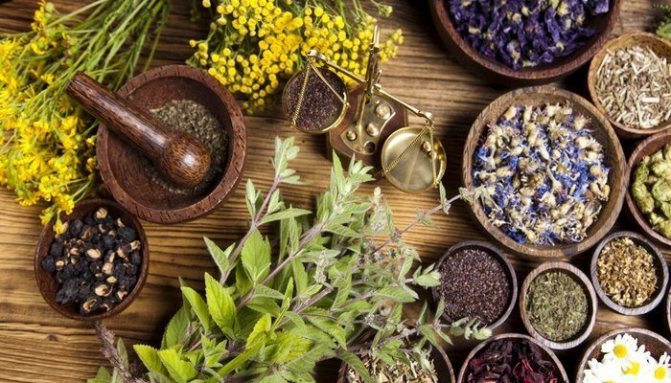 The use of herbs in the treatment of gastritis