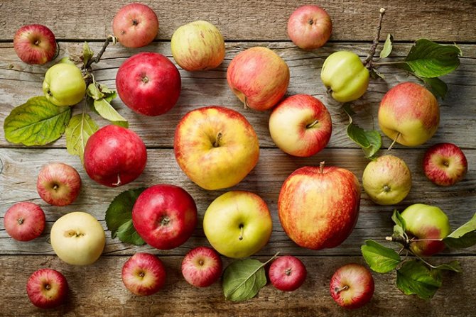Heartburn from apples: causes and treatment
