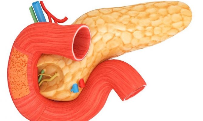 How to restore the liver and pancreas