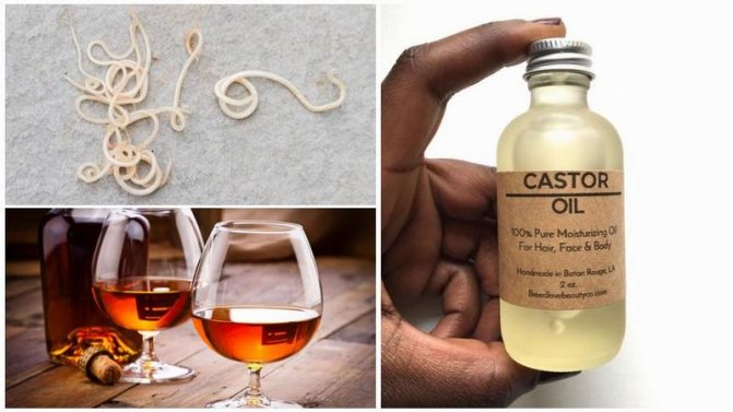 Castor oil with cognac against parasites
