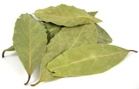 Bay leaf helps in the fight against hemorrhoids
