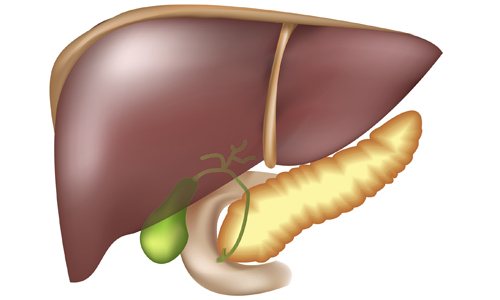 Treatment of liver and pancreas drugs