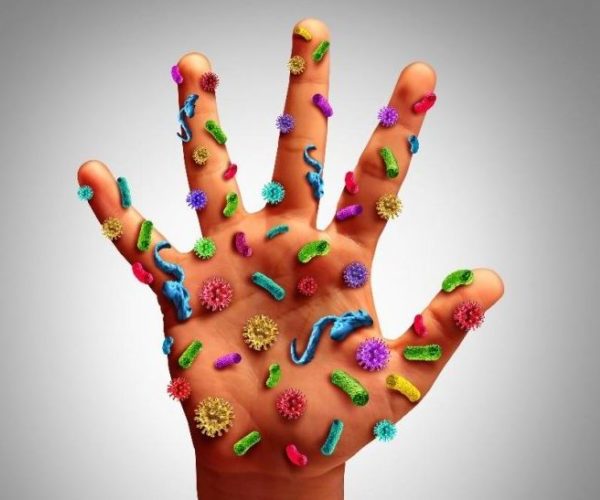Germs on hands
