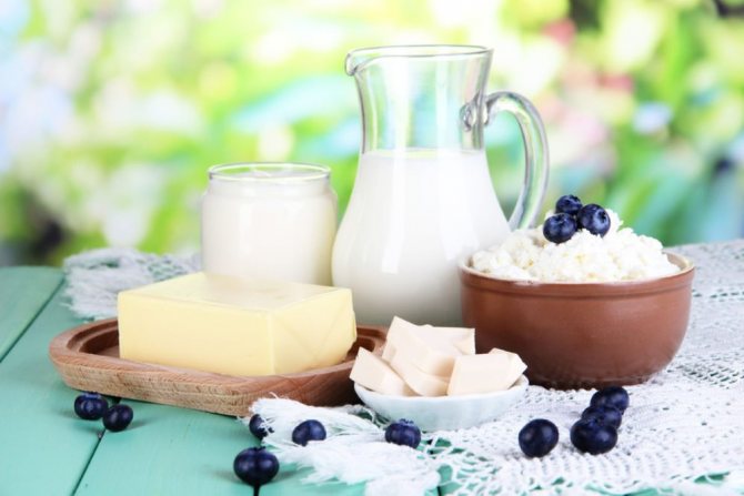 dairy products for gastritis