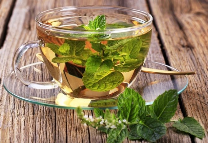 Is it possible to drink mint tea every day?