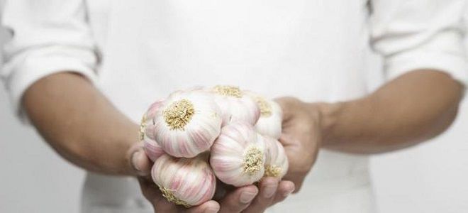Is it possible to eat garlic if you have pancreatitis?