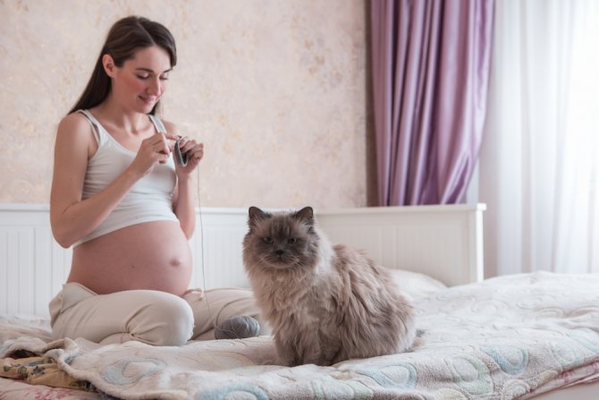 Опасность паразитов при беременности