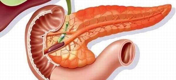 Features of reactive pancreatic disorders