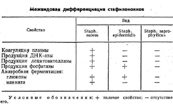 Особенности стафилококковой инфекции