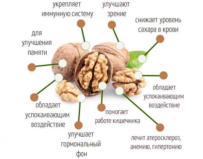 Useful properties of walnuts