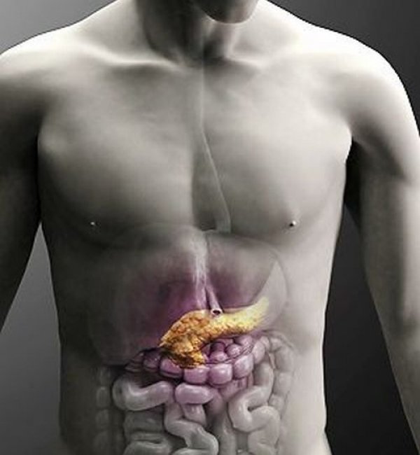 pancreas position