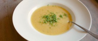 Правила приготовления и рецепты супов при язве желудка