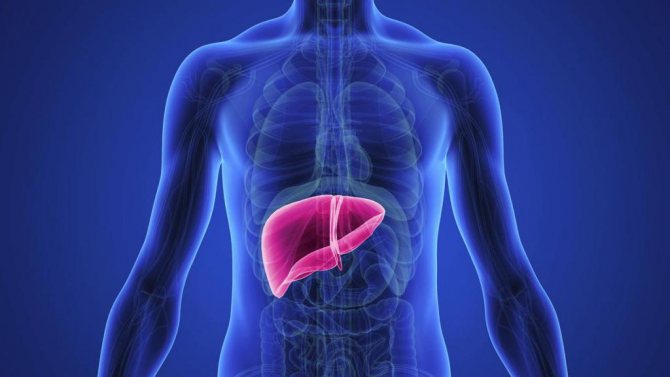 Signs of an unhealthy liver