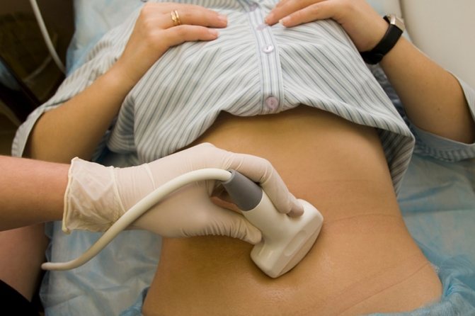 Performing an ultrasound scan of the pancreas
