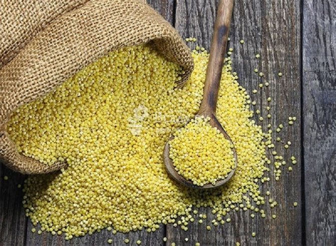 Millet is very healthy, but it should not be eaten if you have thyroid disease.