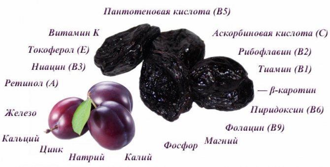 Composition of prunes