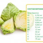 состав витаминов в капусте