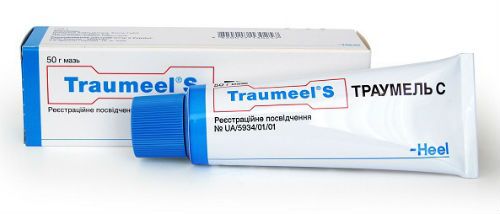 Traumeel C ointment photo