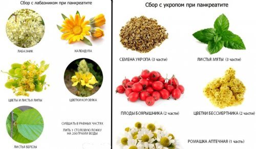 Herbs for inflammation of the pancreas