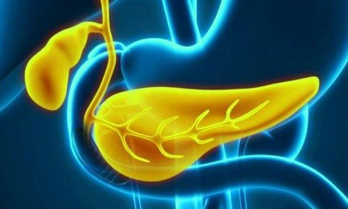 In an adult, a large pancreas indicates acute or chronic pancreatitis