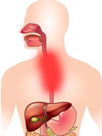 Causes of rumbling in the esophagus