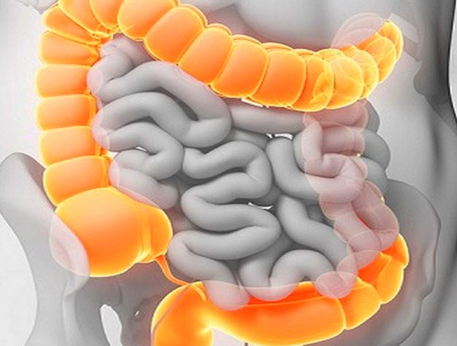 Bloating and constipation: causes and treatment in adults